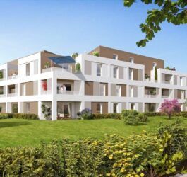 Loi Mézard immobilier neuf